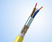 Foundation Fieldbus Type
