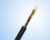 Multi-Core Speaker Cable